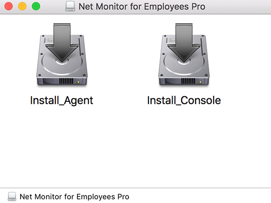 EduIQ Net Monitor for Employees Professional 6.1.7 free